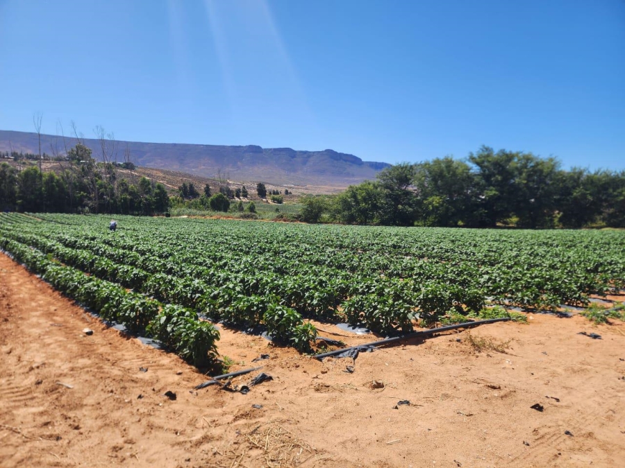 0 Bedroom Property for Sale in Klawer Western Cape